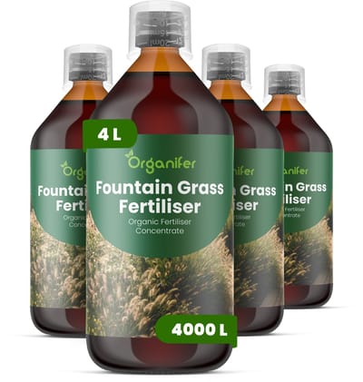 Vloeibare Meststof Voor Siergras 4X1 L Voor 4000 L - Npk 2-1-8 - Lampenpoetsersgras - Dichte Groei - Pluimvorming - Kleurintensiteit - Bloeiprestatie - Wortelontwikkeling - Droogtetolerantie - Droge Bodems - Organifer