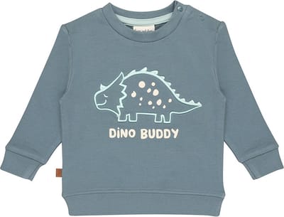 Frogs and Dogs - Dino Buddy Trui - Sweater - Katoen - Maat 62 - Goblin Blue