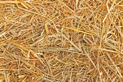 Eckhardt Stro 3,5 kilo (140 liter)