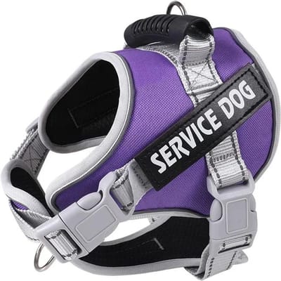 Harnas voor Hulphond met Gepersonaliseerd ID-label Verstelbaar Hondenharnas Hondentrui Riem voor Grote Honden Buitenhonden Trainingsaccessoires About 4-7kg dogs paars
