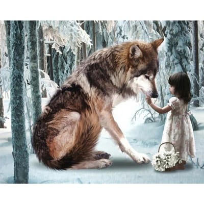 Meisje en Wolf Diamond Painting Kruissteek Kit Gedrukte Handwerkpatronen Diamant Borduurwerk 20X30CM gray