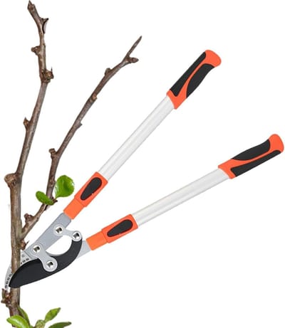 Tuin Snoeischaar - Takken Snyer - Planten Snoeien - Antislip Handgreep - 68-97 cm - Oranje Wit