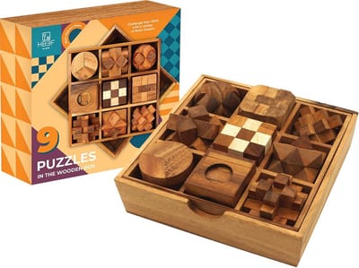 9-in-1 Houten Hersenkraker Puzzels voor Volwassenen en Kinderen - Creatieve Logicaspellen voor Alle Leeftijdsgroepen