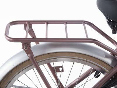 Alpina Achterdrager 20 Cargo wood rose matt