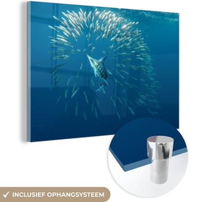MuchoWow® Glasschilderij 90x60 cm - Schilderij acrylglas - Vissen - Zwaardvis - Water - Foto op glas - Schilderijen