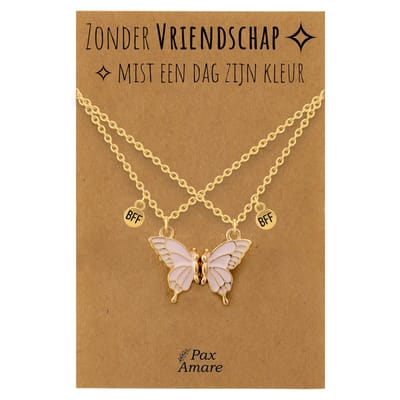 BFF Ketting voor 2 'Zonder Vriendschap mist een dag zijn kleur' - Magnetische Roze Vlinder - Vriendschapsketting op Cadeau Kaartje - 45cm + 5cm verstelbaar - Goudkleurig - Best Friends Hanger - Pax Amare