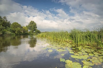 Fotobehang Riviertje de Giessen 250 x 260 cm - € 175,--