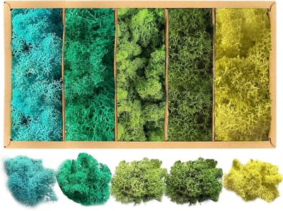 Kleurige IJslandse Mos voor Creatieve Projecten, Natuurlijke Decoratie, Herbruikbare Mosbladeren, Ambachtelijke Decoratie, Vijf Kleuren Beschikbaar