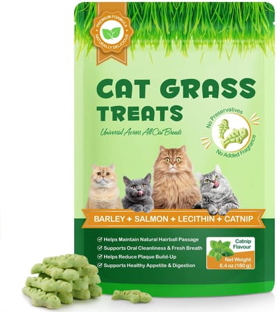 Dailygoods- Zalmkoekjes 260 g - Knapperige Traktatie - Tegen Haarballen - Spijsvertering - Tandverzorging - Natuurlijk zonder Kunstmatige Aroma's - Kattenkoekjes