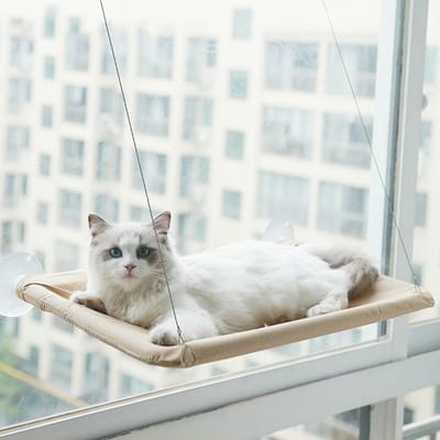 Hamac pour chat, lit suspendu pour chat, supportant 20 kg, confortable, pour fenêtre ensoleillée, cadre d'escalade pour chaton, accessoires pour animaux de compagnie kaki