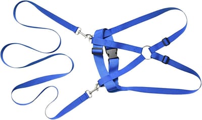Kinder Tuigje - Veiligheidsharnas Kind - Buitenavontuur - Verstelbare banden - 200 cm lengte - Blauw