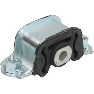 Houder, motorophanging DELPHI TEM110