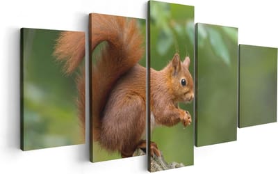 Artaza Canvas Schilderij Vijfluik Eekhoorn op een Boomstam in het Bos - 100x50 - Foto Op Canvas - Canvas Print