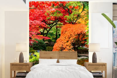 Behang - Fotobehang Bomen - Japans - Stenen - Pad - Natuur - Breedte 205 cm x hoogte 280 cm