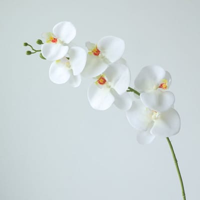 Orchidee - wit - zijden bloemen - 3 stelen - onderhoudsvrij - 84 cm - kunstbloemen