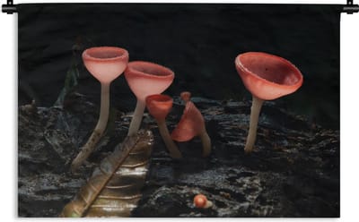 Wandkleed - Wanddoek - Rode paddenstoelen in het donker - 90x60 cm - Wandtapijt