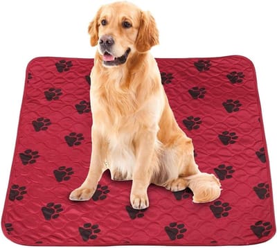 Matte Pads voor Honden en Puppies, Incontinentie Pad, Wasbaar tot 60 Graden, Absorberend en Herbruikbaar, Waterdicht 4-Laags Ontwerp (80 x 90 cm, Rood)