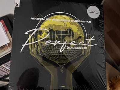 Mason Vs Princess Superstar - Perfect (Exceeder) (12" Single)