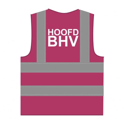 Hoofd BHV hesje RWS lichtpaars