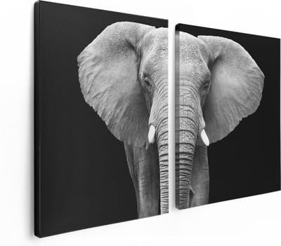Artaza Canvas Schilderij Tweeluik Olifant - Zwart Wit - 120x80 - Foto Op Canvas - Canvas Print