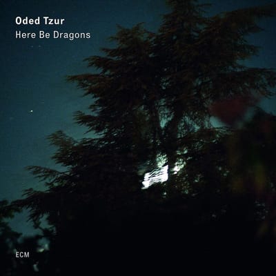 Here Be Dragons - Oded Tzur