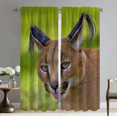 Tule voor Slaapkamer Caracal Keukengordijnen 2 Stuks Elegante Kamergordijnen Woonkamer Gordijn Shades Halloween Decoratie Camera W50xH70cmx2pcs-CL gray