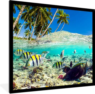 Fotolijst incl. Poster - Zee - Vissen - Koraal - 40x40 cm - Posterlijst