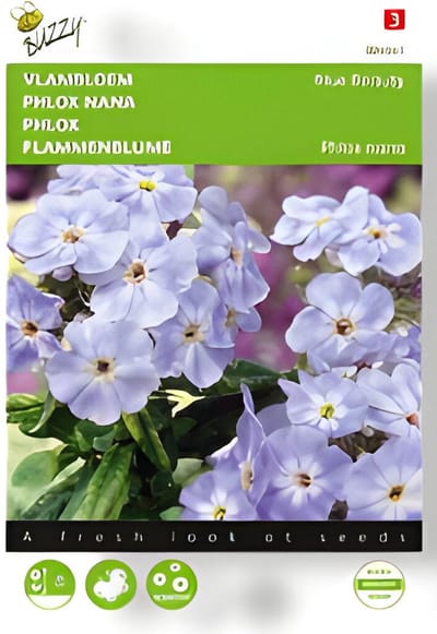 Buzzy - Zaden phlox vlambloem blue beauty 0.4 gram