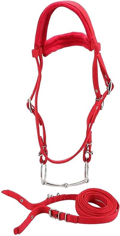 Verstelbare Paardenbit met Zacht Kussen en Teugels - Comfortabele Snaffle Hoofdstel voor Paarden, Geschikt voor Training en Wedstrijden