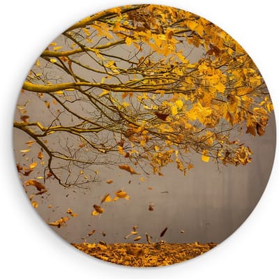 Saammp Muurcirkel Hout - Hefst boom - Bladeren - Landschap - Natuur - Ø 90 - Wandcirkel - Wanddecoratie Cirkel - Muurdecoratie Woonkamer - Slaapkamer decoratie - Rond Schilderij