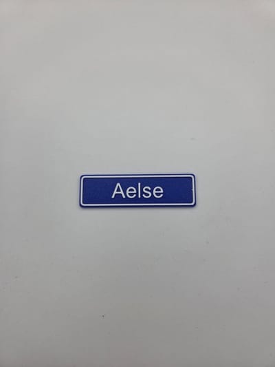 3D plaatsnaam speldje Aelse