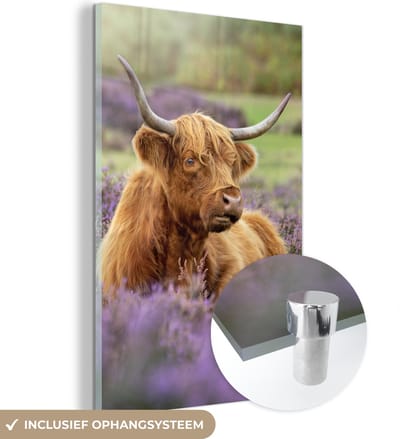 MuchoWow® Glasschilderij 120x180 cm - Schilderij acrylglas - Schotse Hooglander - Bruin - Struiken - Foto op glas - Schilderijen