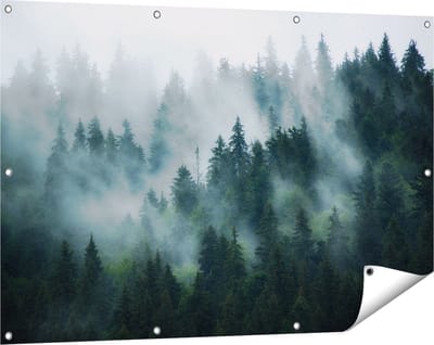 Gards Tuinposter Bos met Bomen in de Mist - 120x80 cm - Tuindoek - Tuindecoratie - Wanddecoratie buiten - Tuinschilderij