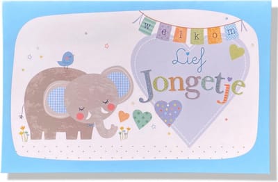 Lief Jongetje! - Luxe Geboortekaartje Jongen - 12x17cm - Gevouwen wenskaart met envelop