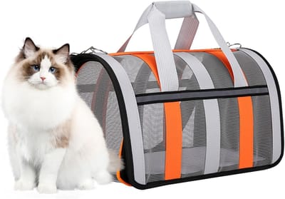 Draagbare Dierentas - Reistas Huisdier - Reizen Vervoer - Opvouwbaar Ventilatie - 34 x 24 x 10 cm
