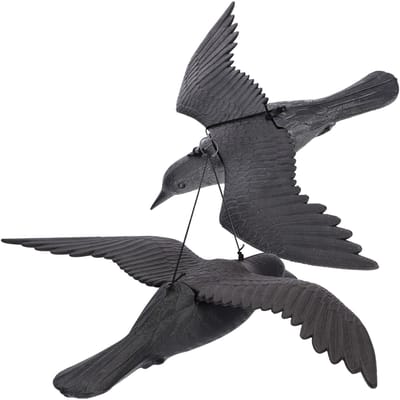 KADAX 2 stuks vogelafschrikmiddel van kunststof, kunststof, vliegende kraai, vogelafweer, duivenafweer, duivenverschrikker, vogelverschrikker, zwarte raaf tegen duiven (2 stuks)