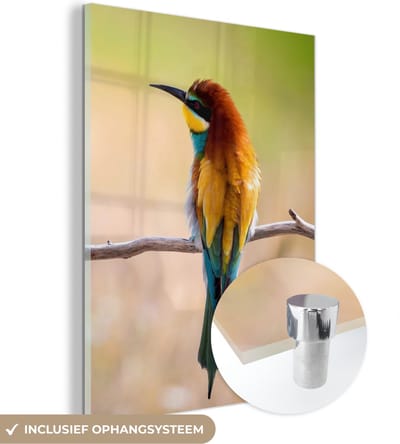 MuchoWow® Glasschilderij 30x40 cm - Schilderij acrylglas - Vogels - Bijeneter - Dieren - Foto op glas - Schilderijen