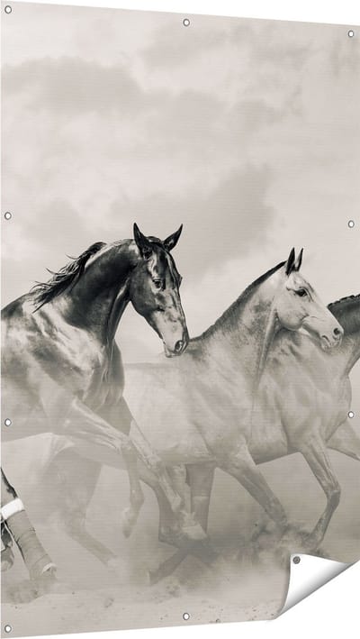 Gards Tuinposter Vier Paarden naast Elkaar - Zwart Wit - 100x150 cm - Tuindoek - Tuindecoratie - Wanddecoratie buiten - Tuinschilderij