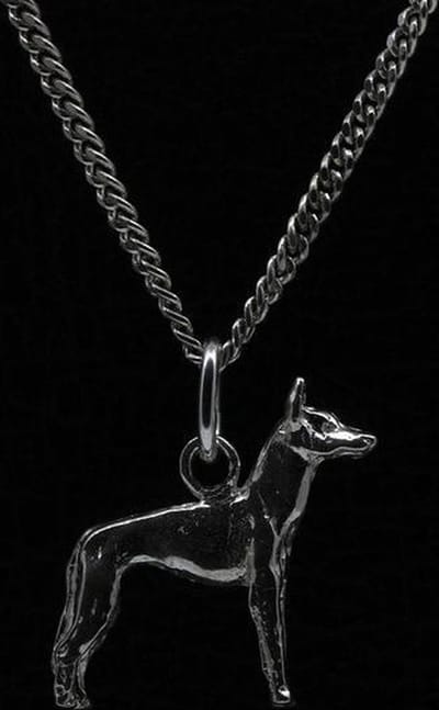 Zilveren Cirneeco deel'etna ketting hanger - klein
