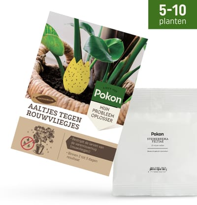 Pokon Aaltjes tegen Rouwvliegjes - 10 miljoen Aaltjes voor 5 tot 10 kamerplanten - Natuurlijke rouwvliegenbestrijding - Resultaat binnen 2 tot 3 dagen