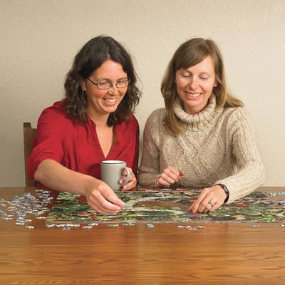 Puzzel van 1000 stukjes - Succulent Garden met Inclusief Poster