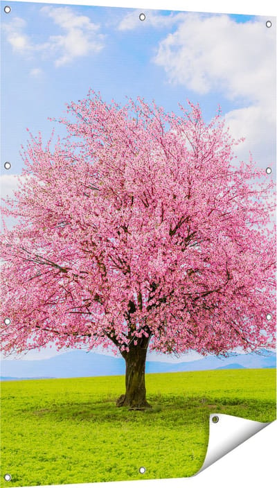 Gards Tuinposter Roze Sakura Bloesem Boom in het Groene Veld - 80x120 cm - Tuindoek - Tuindecoratie - Wanddecoratie buiten - Tuinschilderij