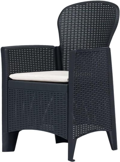 Kunststof tuinstoelen - Rotan look stoelen - Buiten zitten - Inclusief kussens - 2 stuks - Antraciet