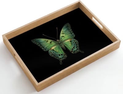 Dienblad hout 50x35 cm - Schootdienblad - Vlinder - Groen - Diepte - Borrelplank rechthoek - Plateau dienbladen