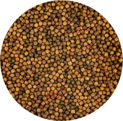 Vivani Japanse Mix 3mm 2kg