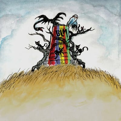 The New Ok -Coloured- - Drive-by Truckers