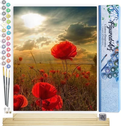 Figured'Art Schilderen op Nummer Volwassenen canvas Rode bloemen en zonlicht - Handwerk acrylverf Kit DIY Compleet - 40x50cm met DIY houten lijst