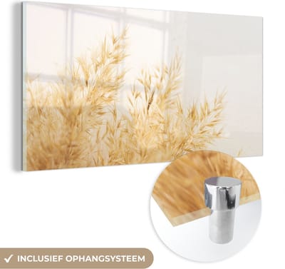 MuchoWow® Glasschilderij 40x20 cm - Schilderij acrylglas - Pampasgras - Zon - Gras - Foto op glas - Schilderijen