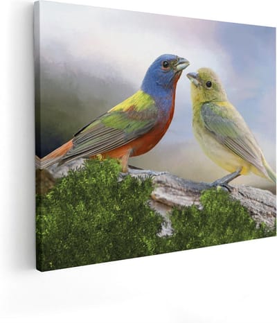 Artaza Canvas Schilderij Vogel Op Tak - 50x40 cm - Wanddecoratie Dieren - Muurdecoratie Woonkamer - Schilderijen Op Canvas Natuur