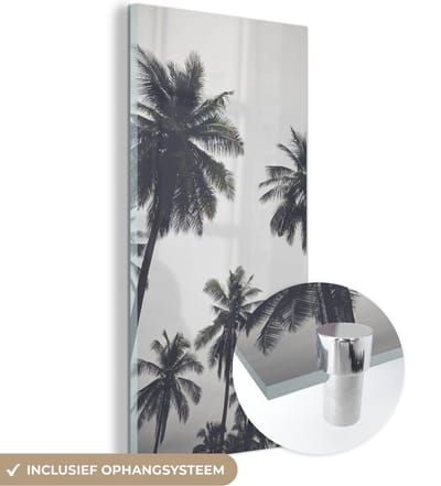 MuchoWow® Glasschilderij 20x40 cm - Schilderij acrylglas - Palmboom - Tropisch - Natuur - Foto op glas - Schilderijen